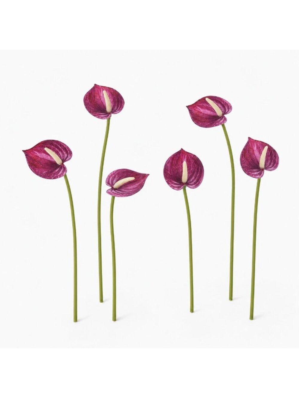 Plum Real Touch Artificial Anthurium Stems, Set of 6, 11 Inch